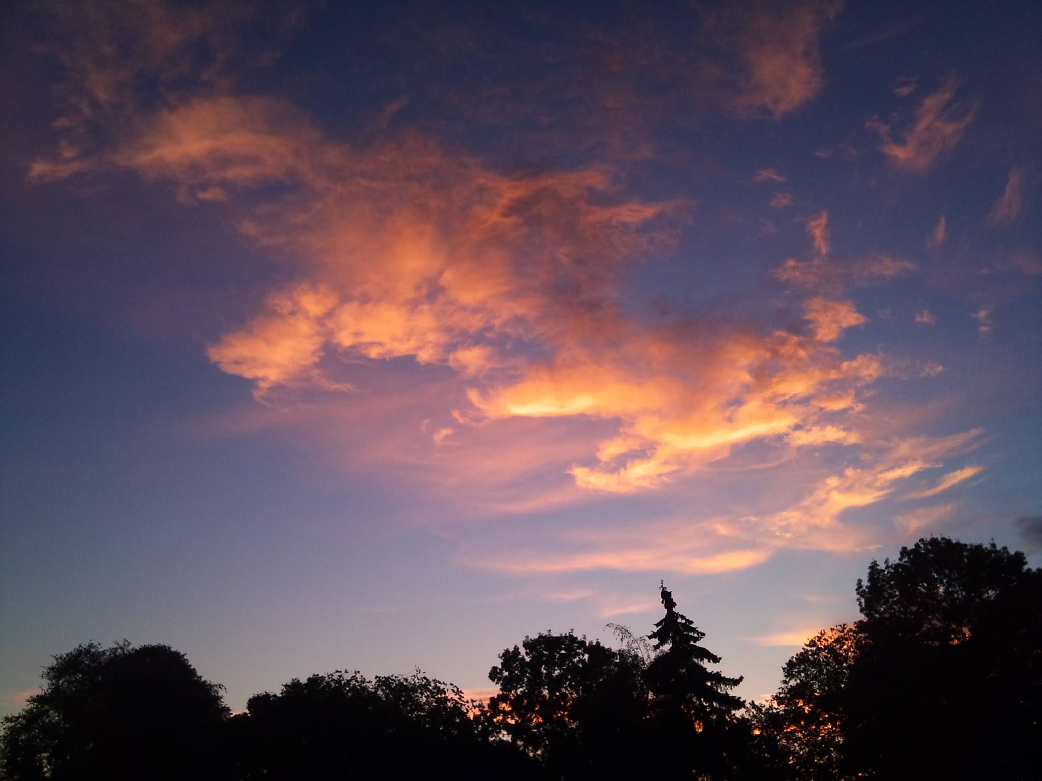 Family portrait by Alan Katowitz