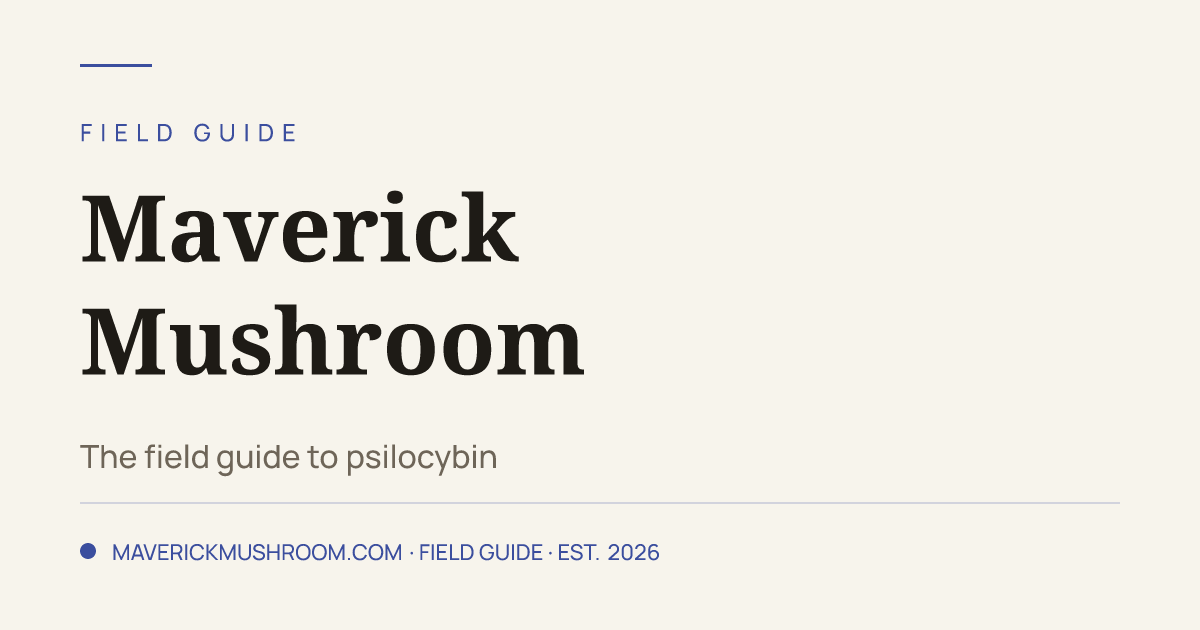 Maverick Mushroom — psilocybin education directory built by Alejandro Arce