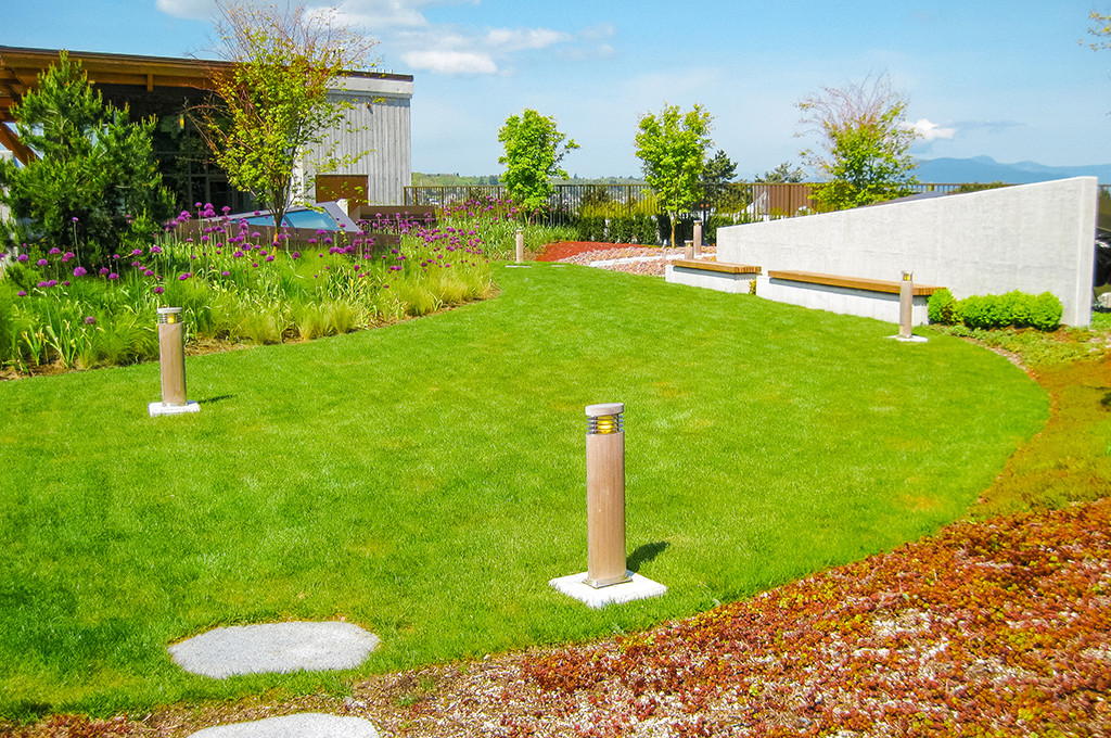 Green roof system installed by Sylvita Landscaping